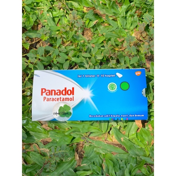 Panadol Paracetamol Box Biru