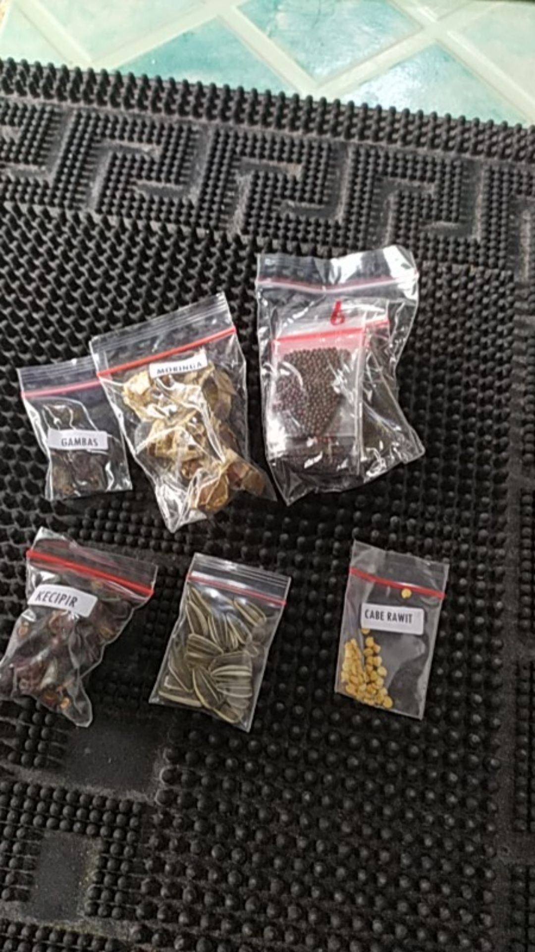 Benih Tanaman Oyong Gambas Biji Buah Bibit Sayur Sayuran Seed Refill