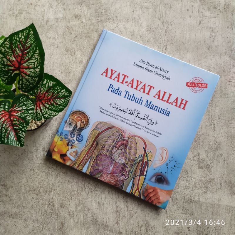 Ayat - Ayat Allah pada Tubuh Manusia