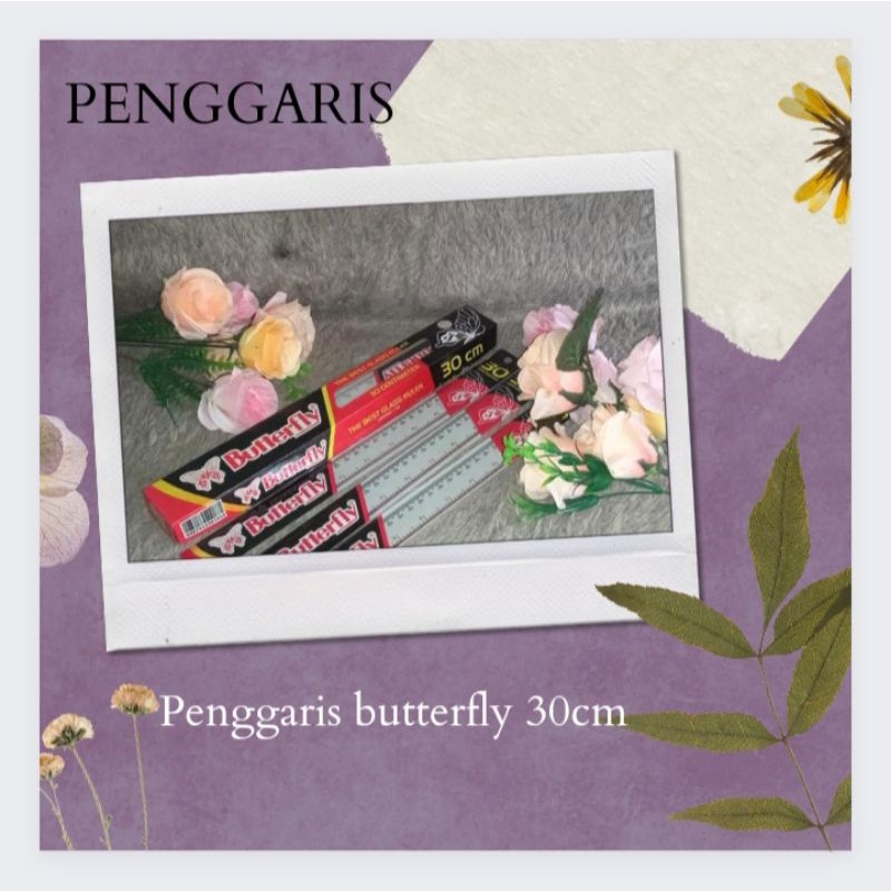 

penggaris 30 cm butterfly