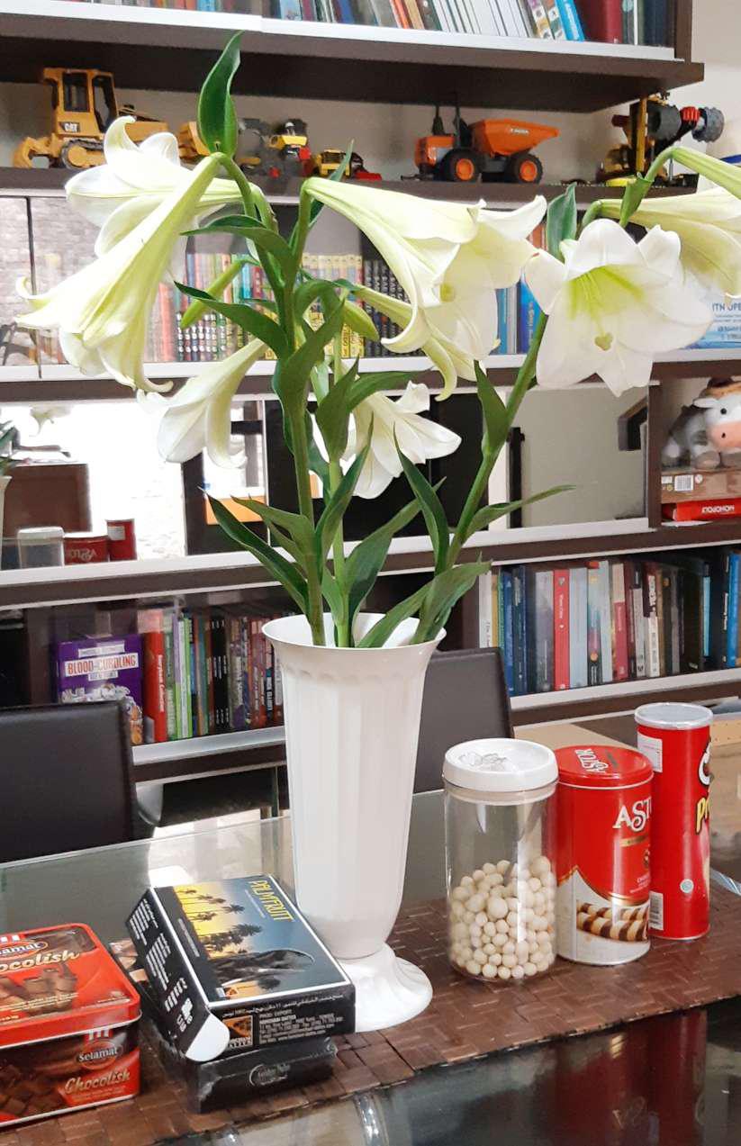 Vas Piala Ukuran Sedang Tinggi 33 Cm