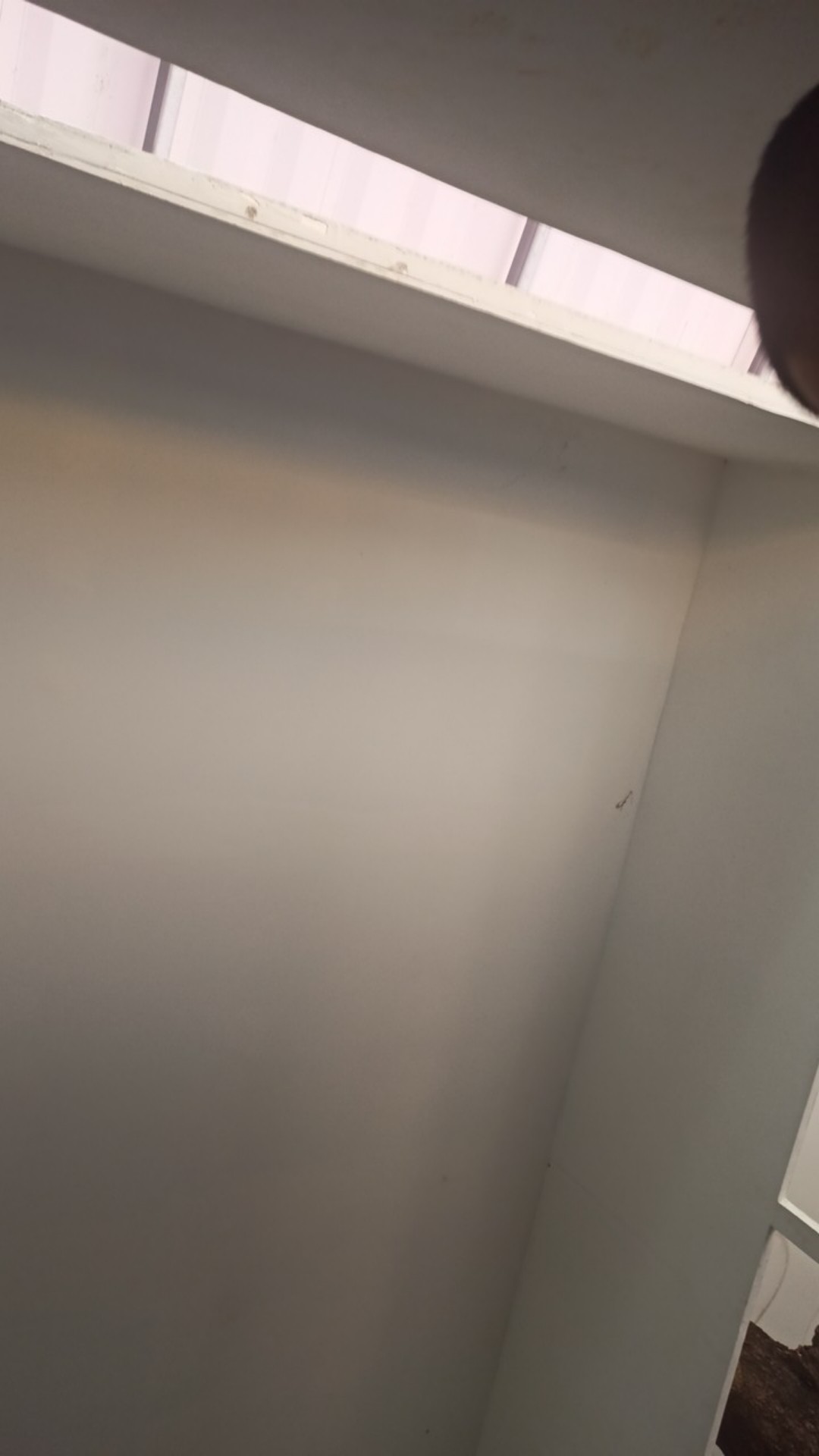 Kilap Premium Engine Degreaser 250ml- Pembersih Kerak, Kotoran Mesin- Lightduty