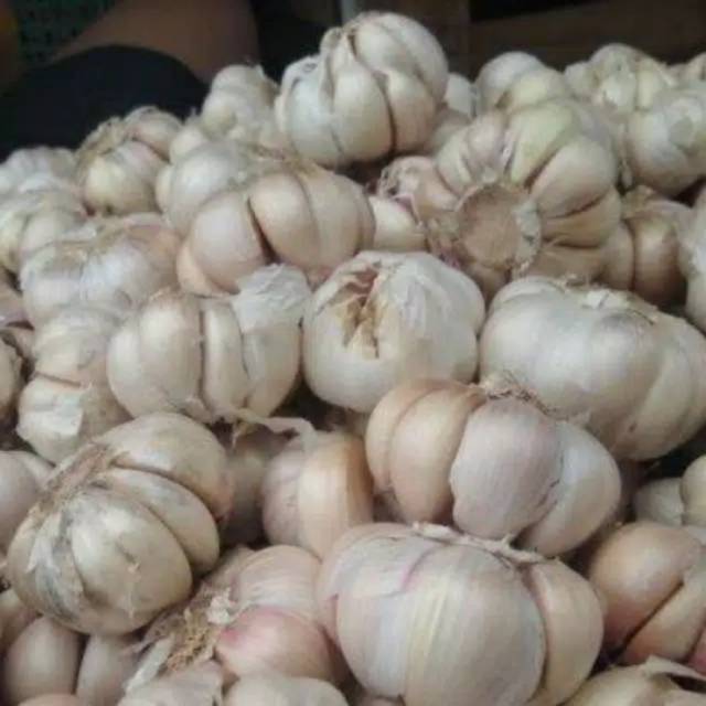 

Bawang Putih 1 Kg