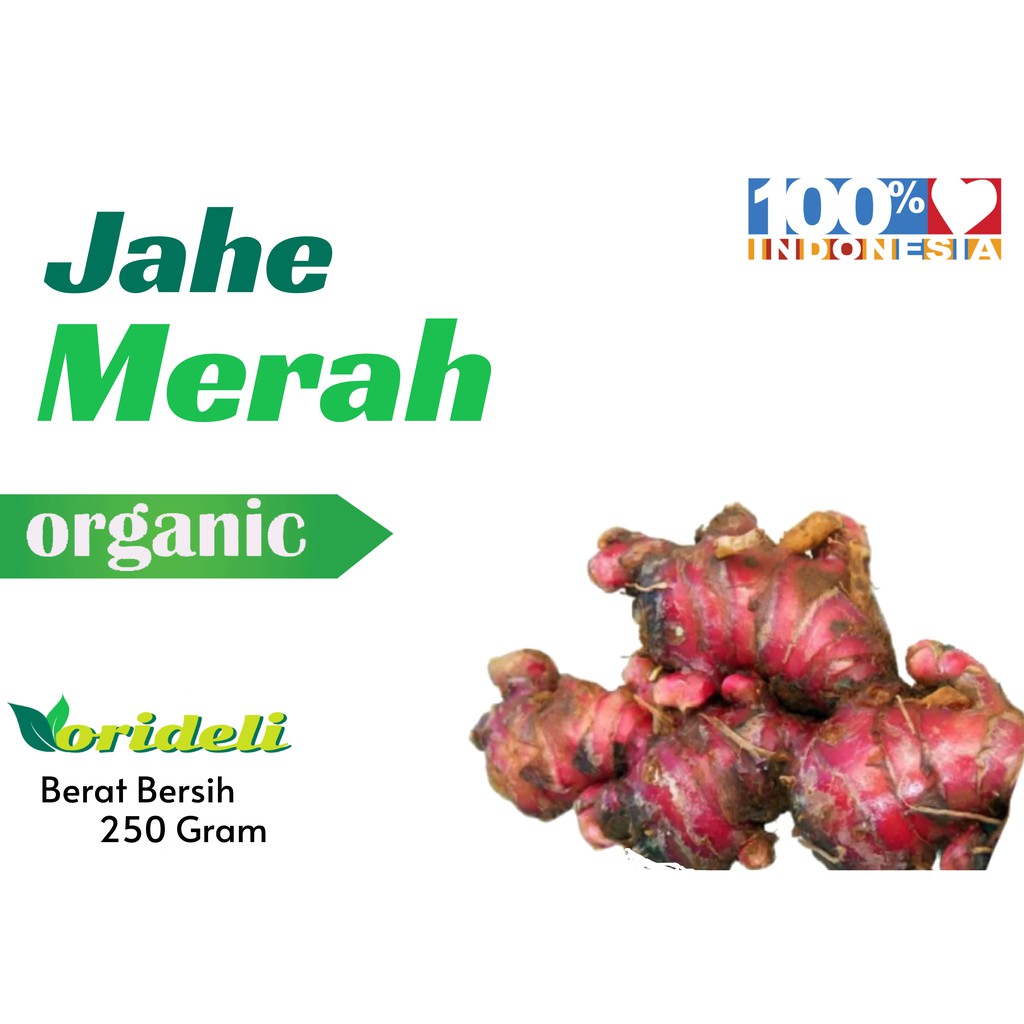 

Jahe Merah Bubuk 100% Murni Kemasan 250gr