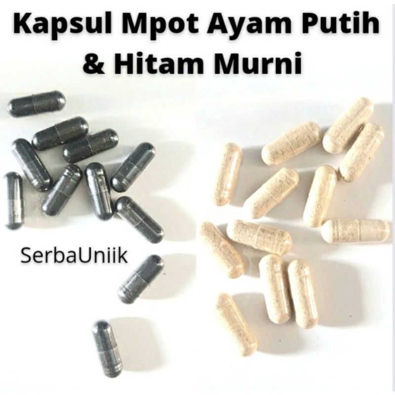 25 Biji Kapsul Empot Putih Empot Ayam Hitam Asli Murni