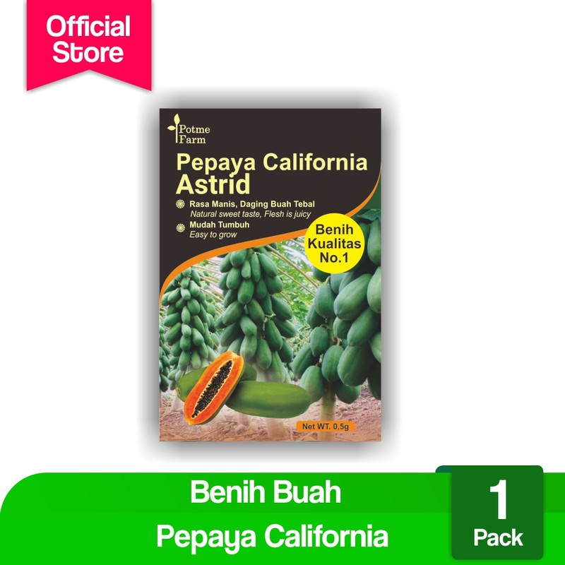 

Benih Bibit Pepaya Calina California Potme Farm