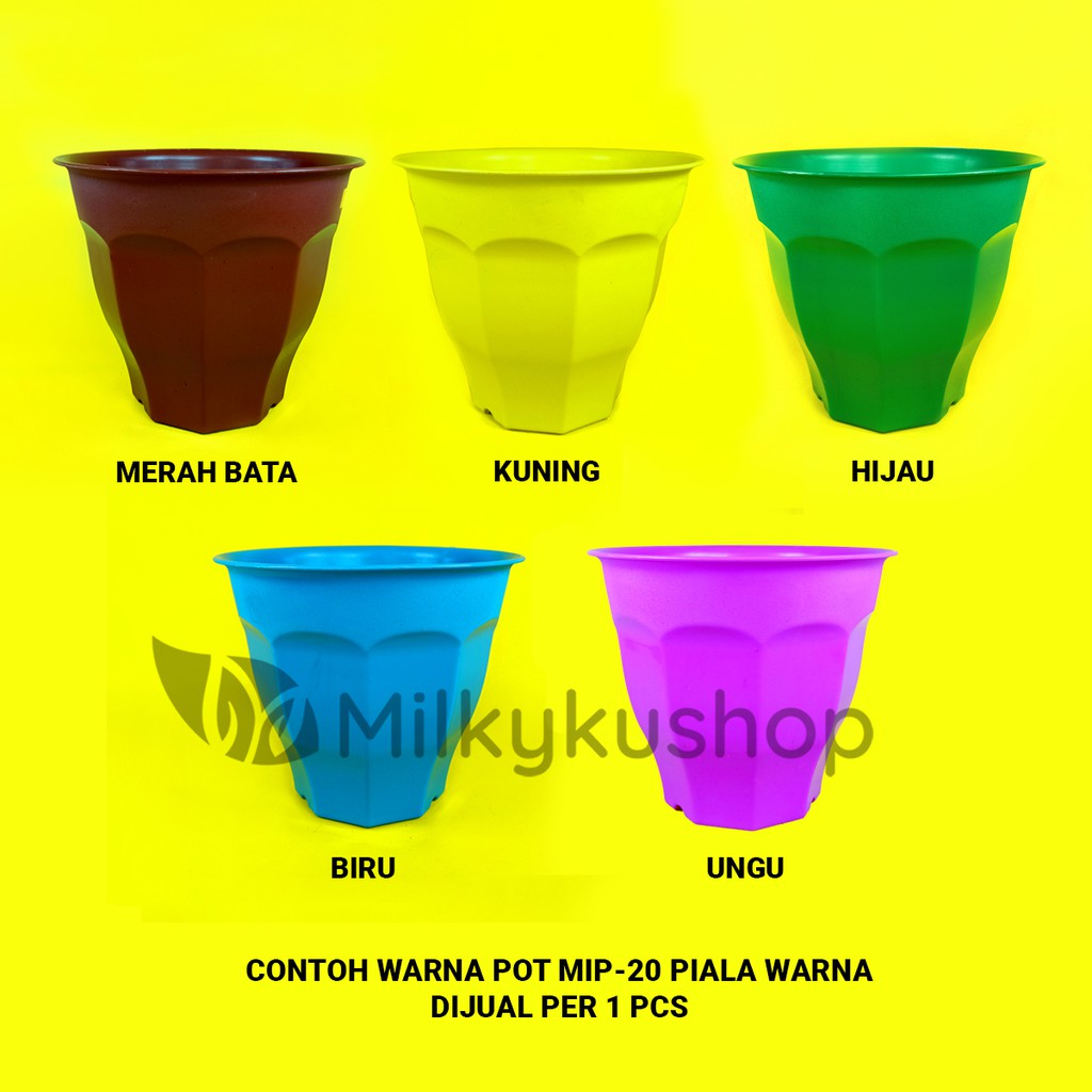 POT MIP 20 PIALA WARNA 20 CM - POT BUNGA TANAMAN