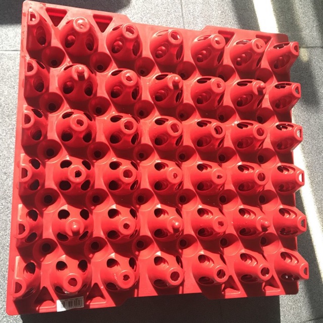 

egg tray plastik telur ayam