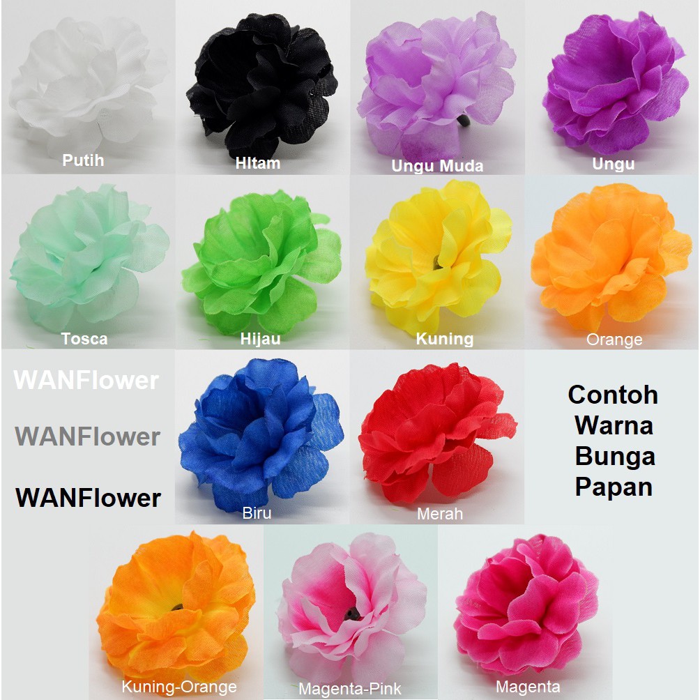 WANFlower Bunga Papan Suyok 100 * HIJAU (perbungkus)