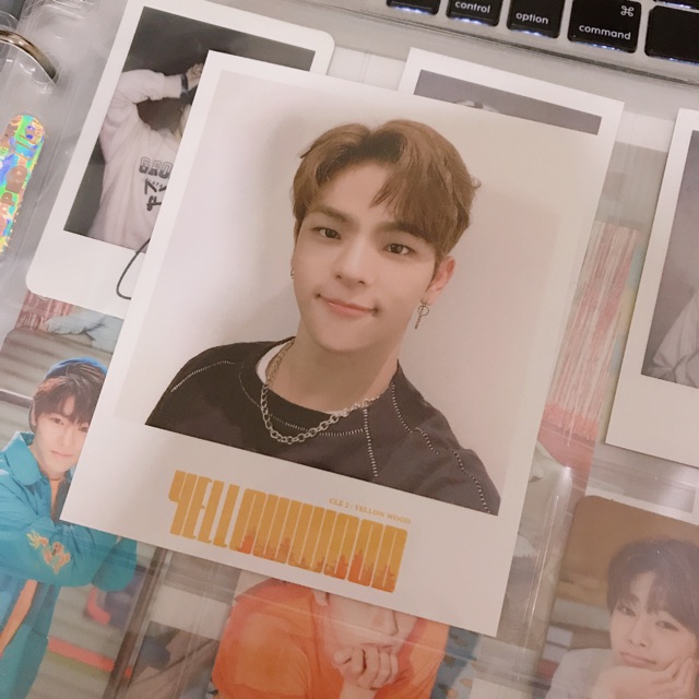 (BOOKED) WOOJIN POLA YELLOW WOOD TAIWAN