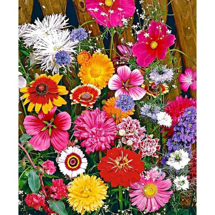 PAKET HEMAT - Benih Bunga Fairy Meadow Flower Mix Seeds (100+ Biji)