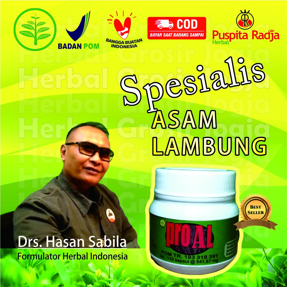 Jual Pro Al Obat Herbal Spesial Asam Lambung Keringat Dingin Mag Sesak