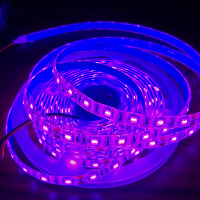 LED Strip 5050 Pink 24V