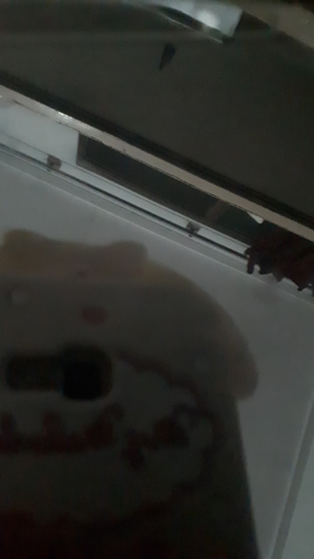 Plastik 1kg (05) Apollo Tebal