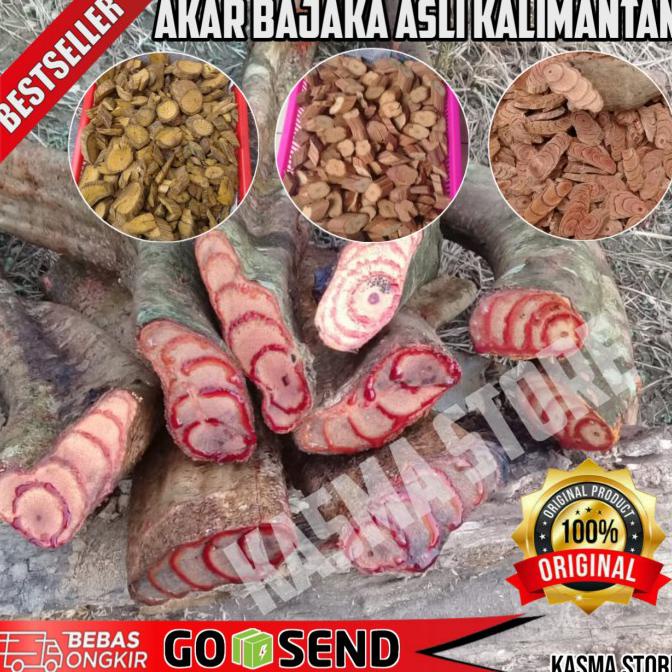 Bajakah Akar Kuning Asli Kalimantan Akar Bajakah Kayu Bajaka - Bjk Jexueteng, 1/2 Kg Basa