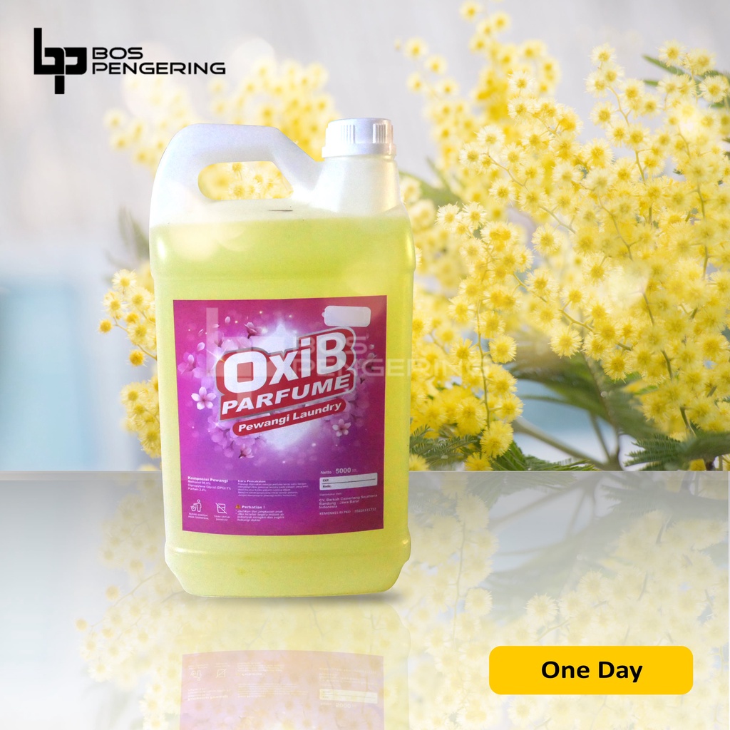 Pewangi Pakaian Laundry - OxiB Parfum Aroma One Day 5 Liter Fresh Sweet