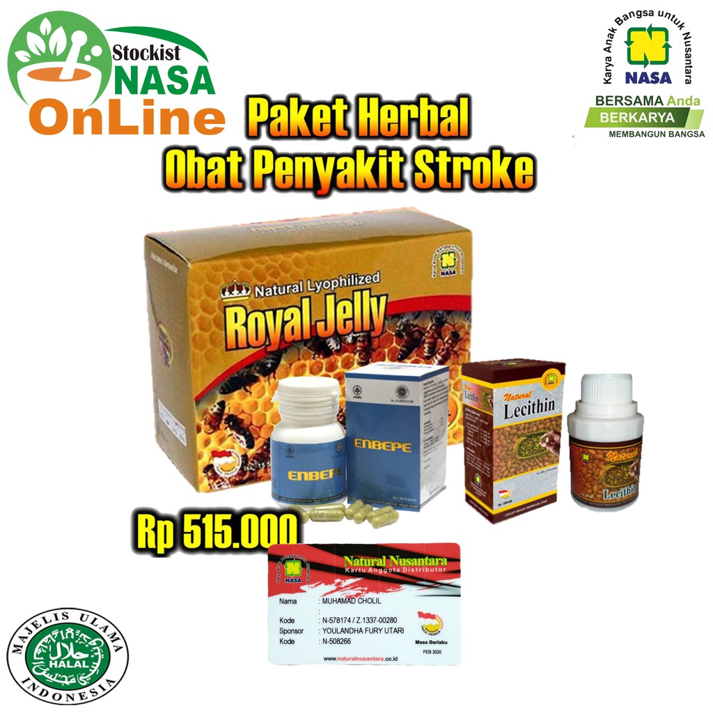 Paket Lengkap Obat Stroke Natural Herbal Nasa / Stockist Nasa Online