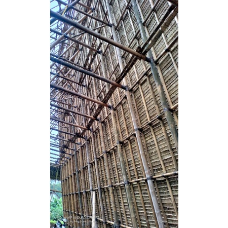 Tree Am Pm Atap Ilalang 25Pcs