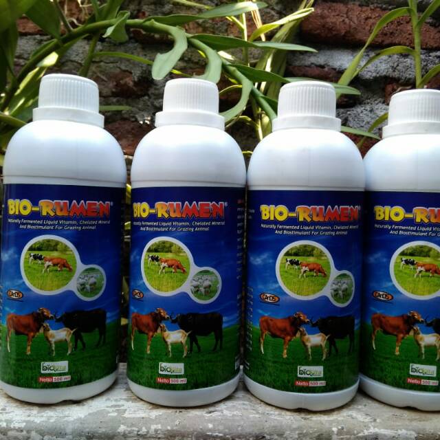 Jual Bio rumen supplemen sapi kerbau kambing, biorumen | Shopee Indonesia