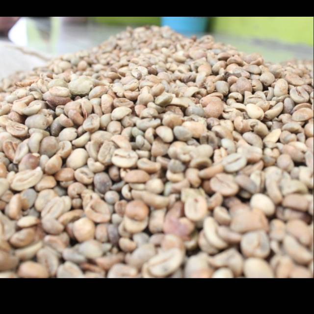 

Green Bean Arabika Jung Java Klungkung Jember Jawa Timur