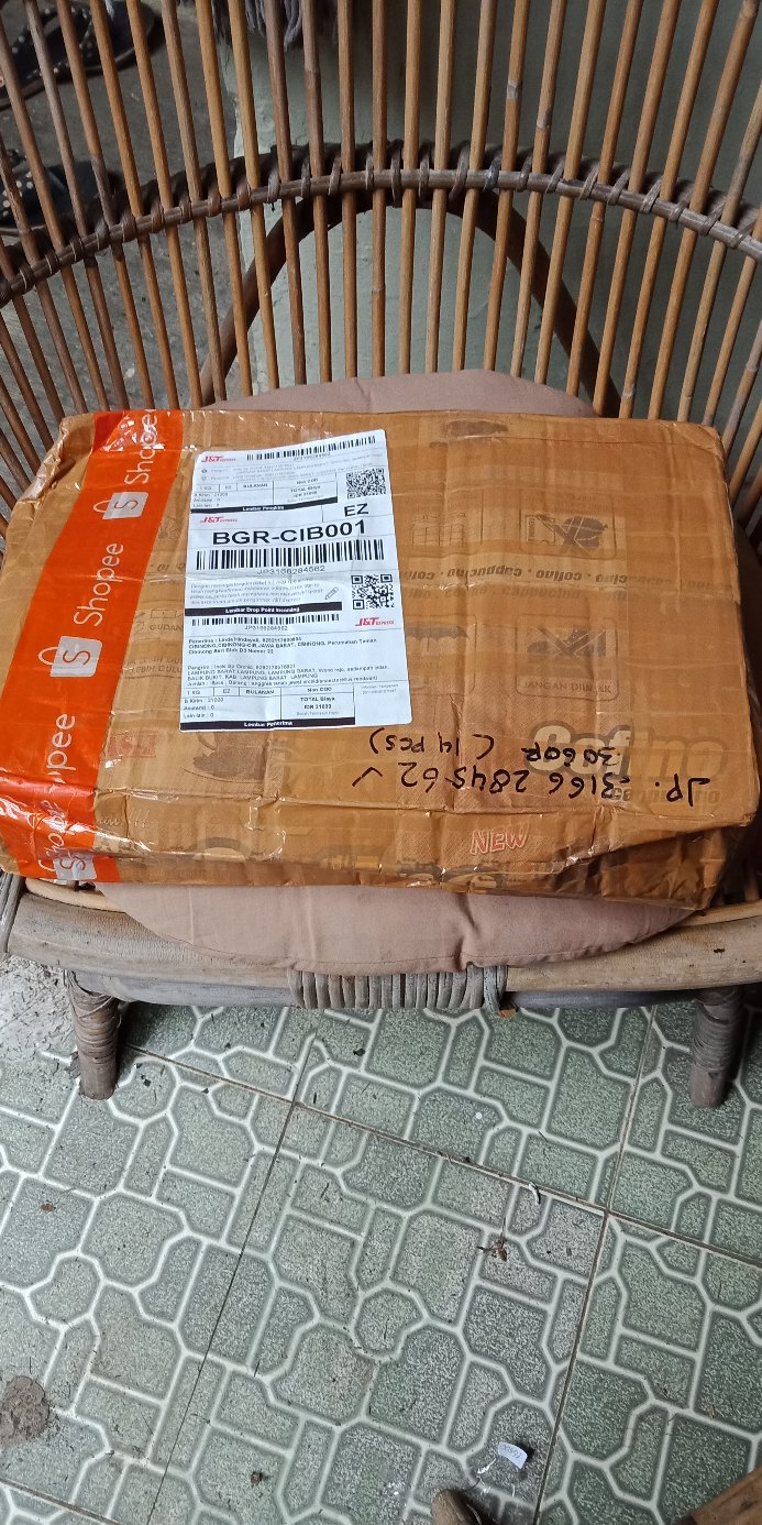 Anggrek Tanah Jewel Orchid/anoectochilus Rendwartii/anoectochilus Sp/macodes Petola