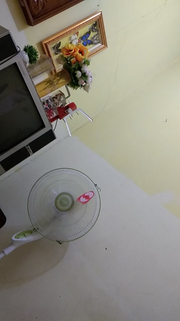 Engsel Sendok Kaca Huben Lurus Gh-0 Dan Bengkok Gh-16