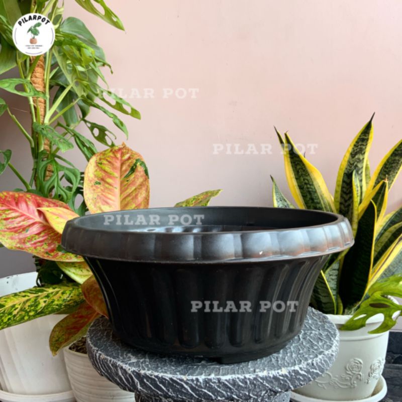 pot bunga tanaman bonsai glory 30 hitam tebal - BONSAI GLORY 30 HITAM