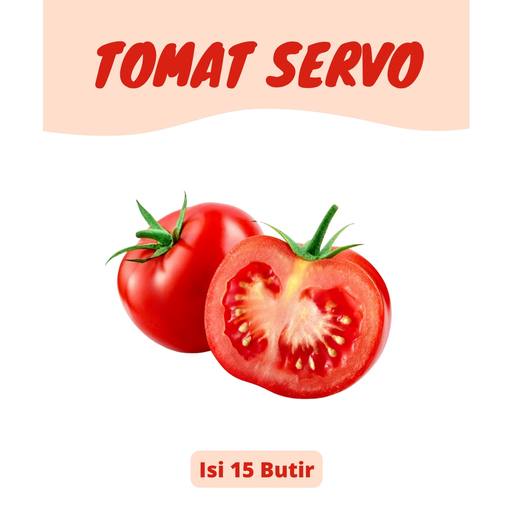Repack Series - Bibit Tanaman Tomat Servo (Isi 15 Seed)