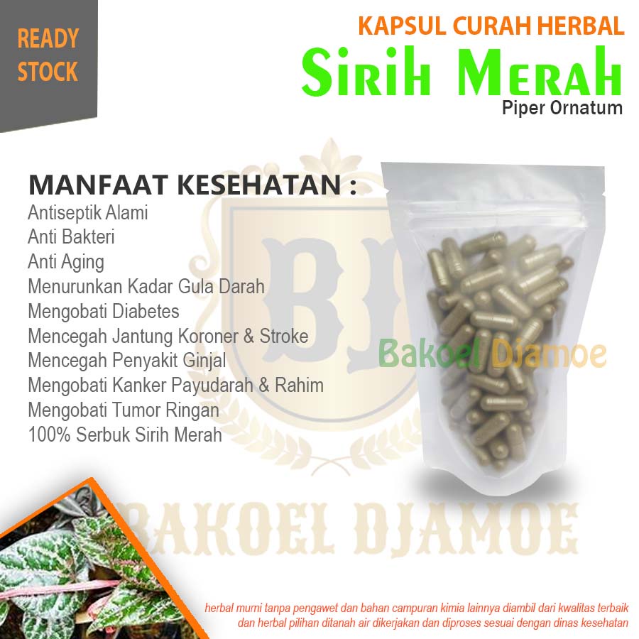 

Kapsul curah herbal sirih merah kapsul herbal anti bakteri anti aging