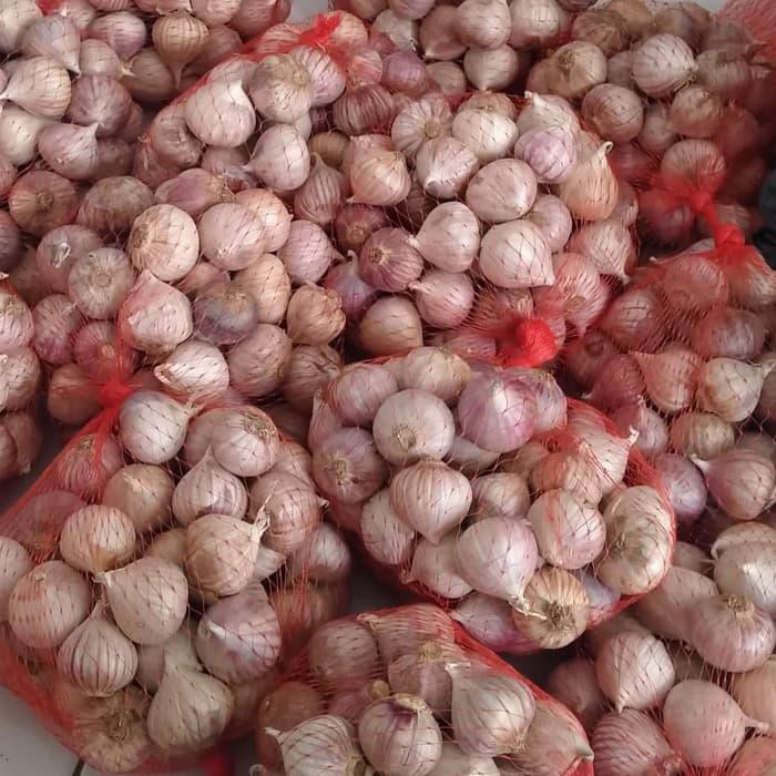 

BAWANG PUTIH TUNGGAL KUALITAS TERBAIK SEKILO