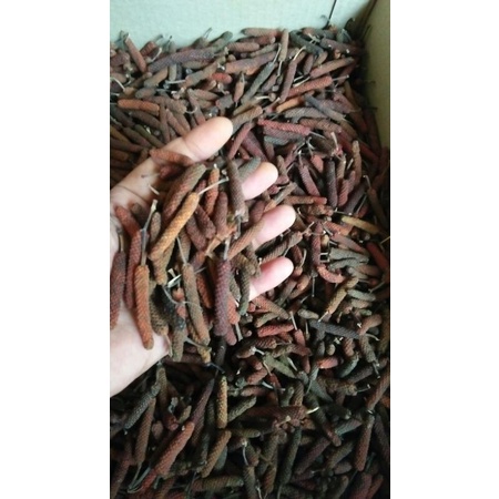 

cabe jawa