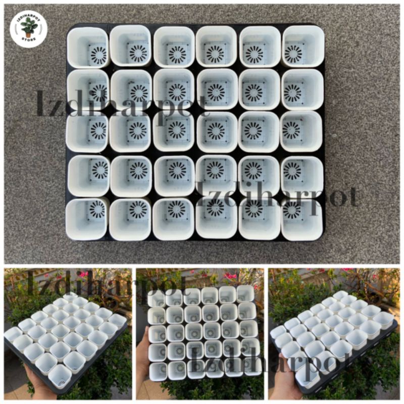 1 SET TRAY LUBANG 30 + POT NKT KOTAK 5CM PUTIH 30 PCS | TRAY SEMAI BIBIT