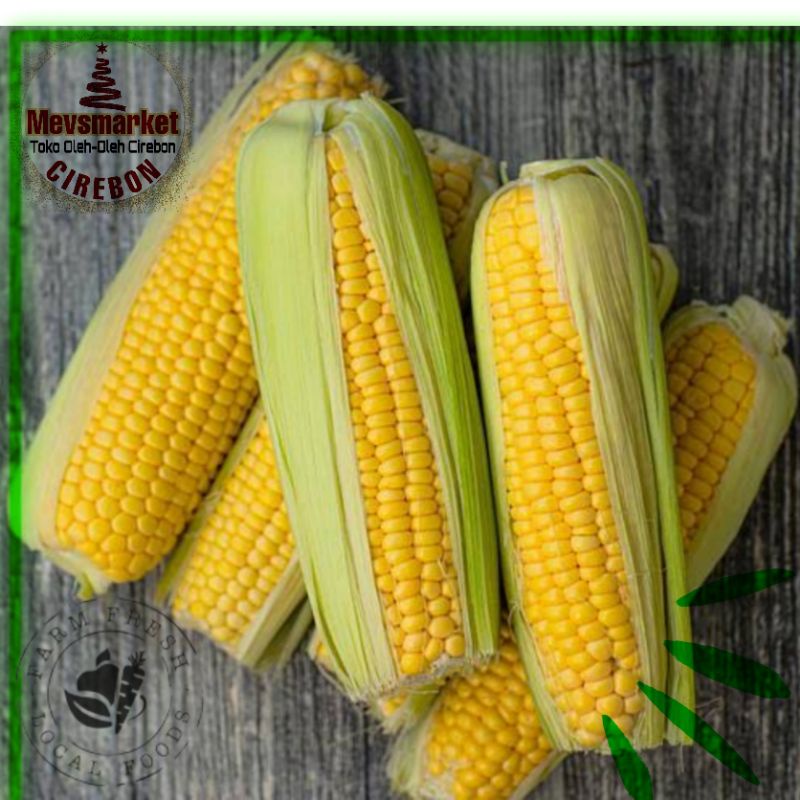 

Mevsmarketcirebon Jagung Manis Kulit Conventional 2 pcs (Mevsmarketcirebon) - SURABAYA