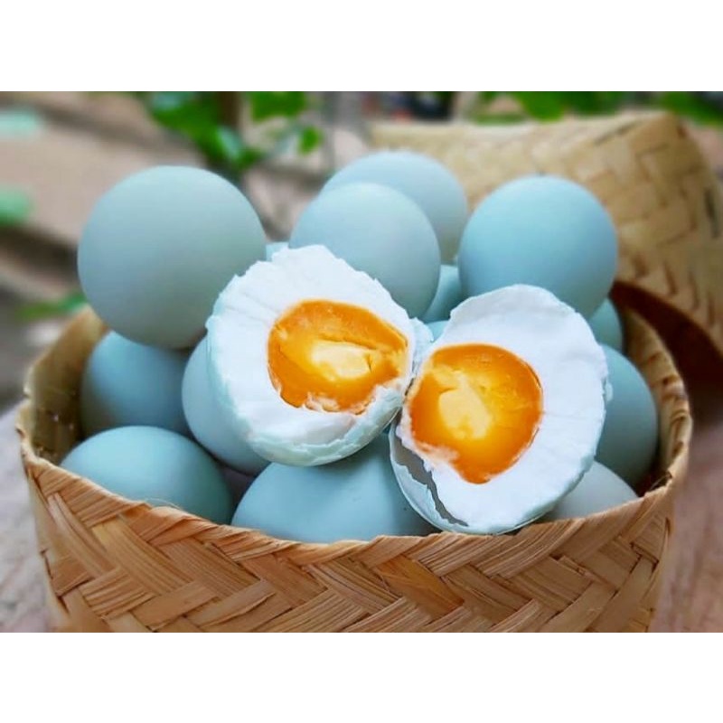 

TELUR ASIN MURAH ASLI BREBES