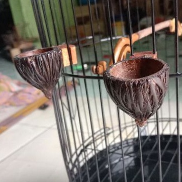 Cepuk Tempat Pakan Dan Minum Burung Pleci Konin Motif Unik Dari Buah Aren