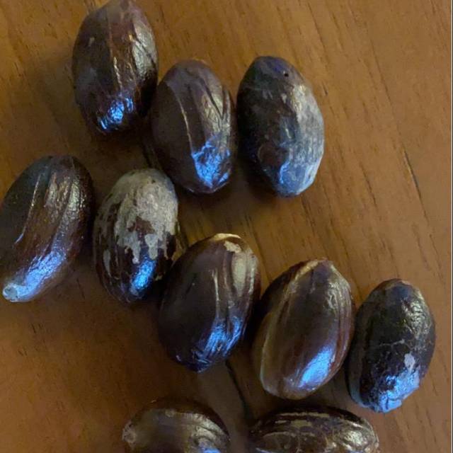 

Pala Lonjong / Pala kulit asal Papua dapat 1kg. Paling Murah