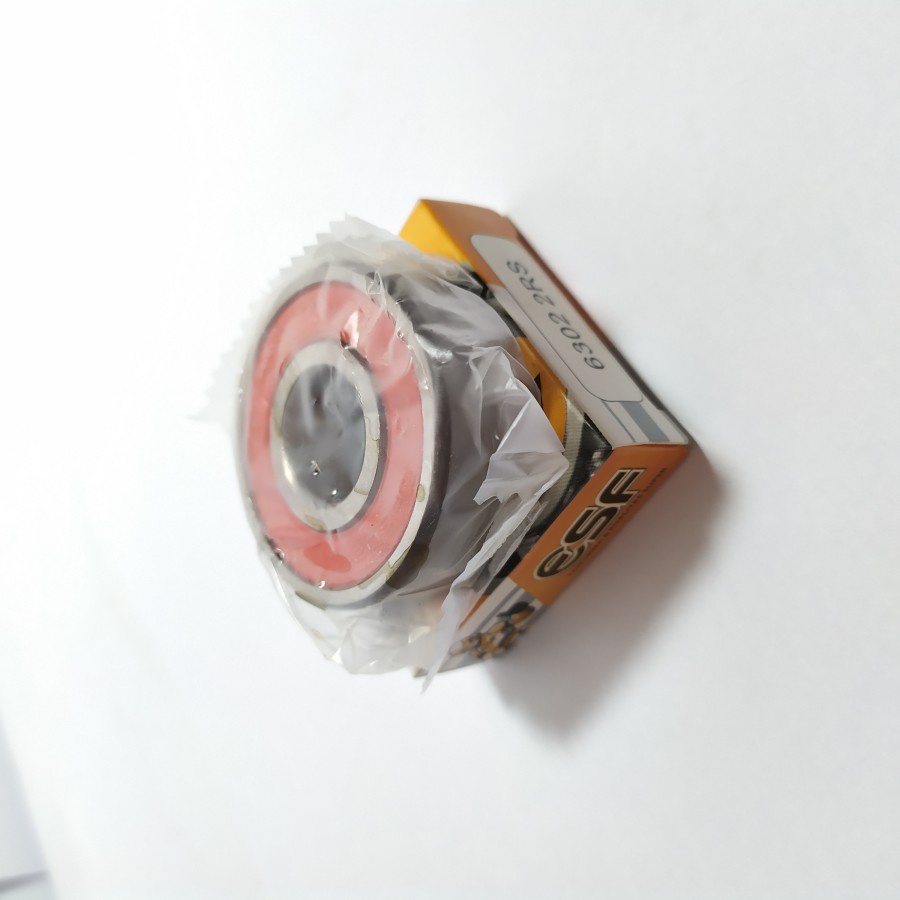 Bering Bearing Klaher Laher 6302 2RS ESF