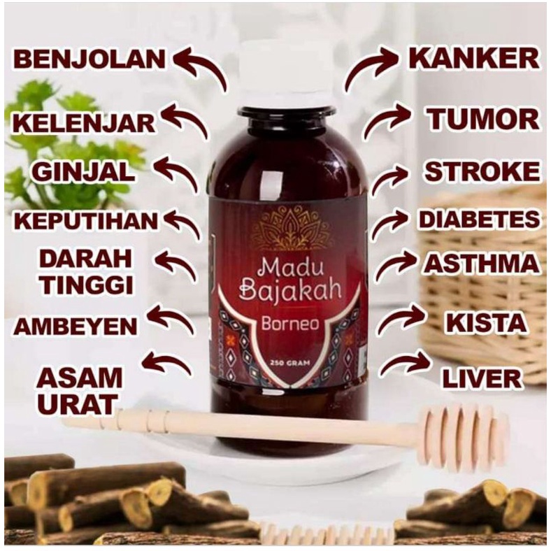 

Madu Bajakah Borneo | Madu Bajakah Herbal Ori 100% | Madu obat Kanker