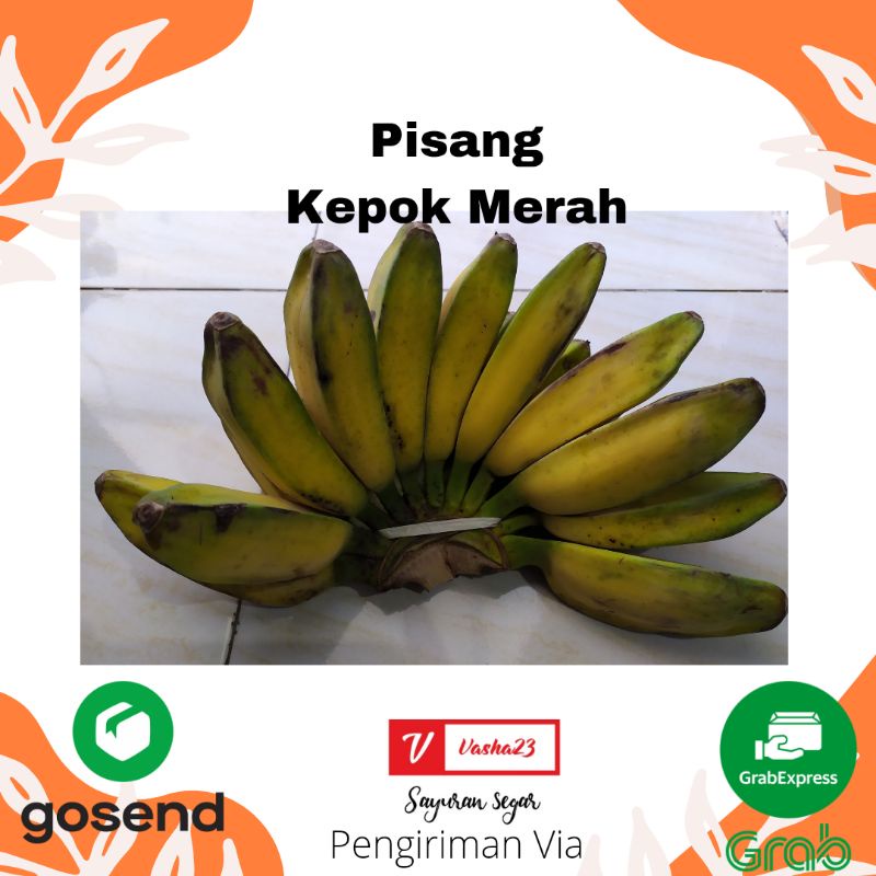 

PISANG KEPOK MERAH PER SISIR