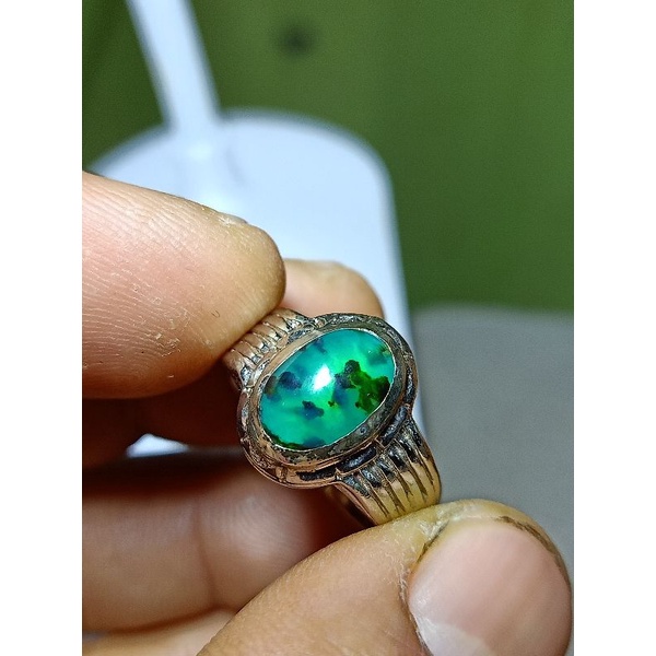 Bacan doko totol coklat kristal