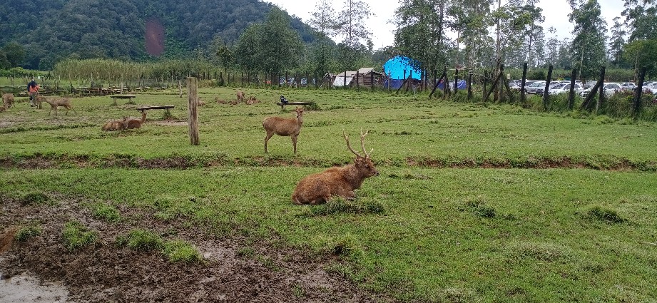 Jemuran Handuk Mini 100cm