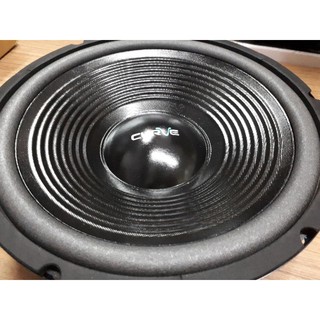 Speaker Curve 12 inch Woofer