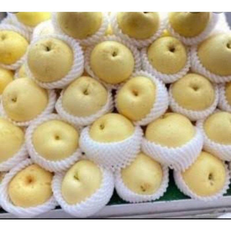 

Buah Pir Century Manis