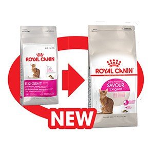 savour exigent royal canin