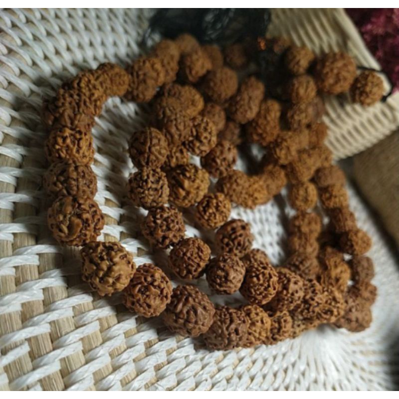 Rudraksha tasbih jenitri isi 99 biji