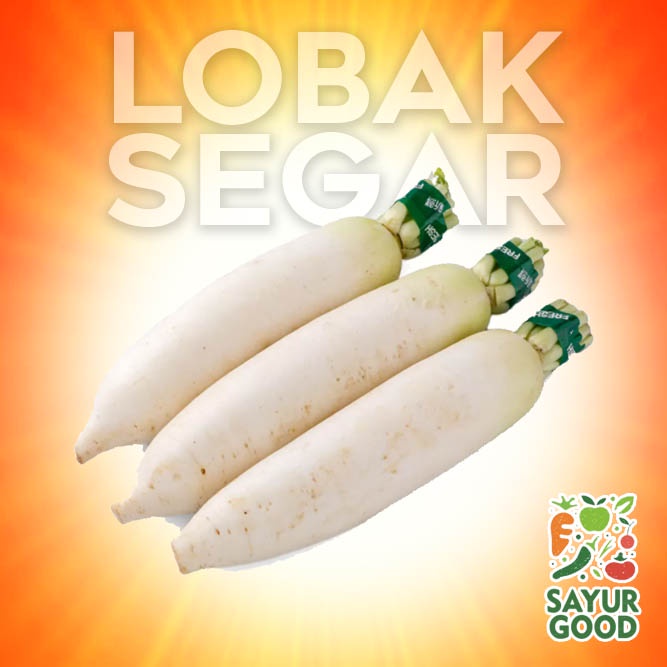 

Lobak Putih Segar 500 gram (Sayur Segar)