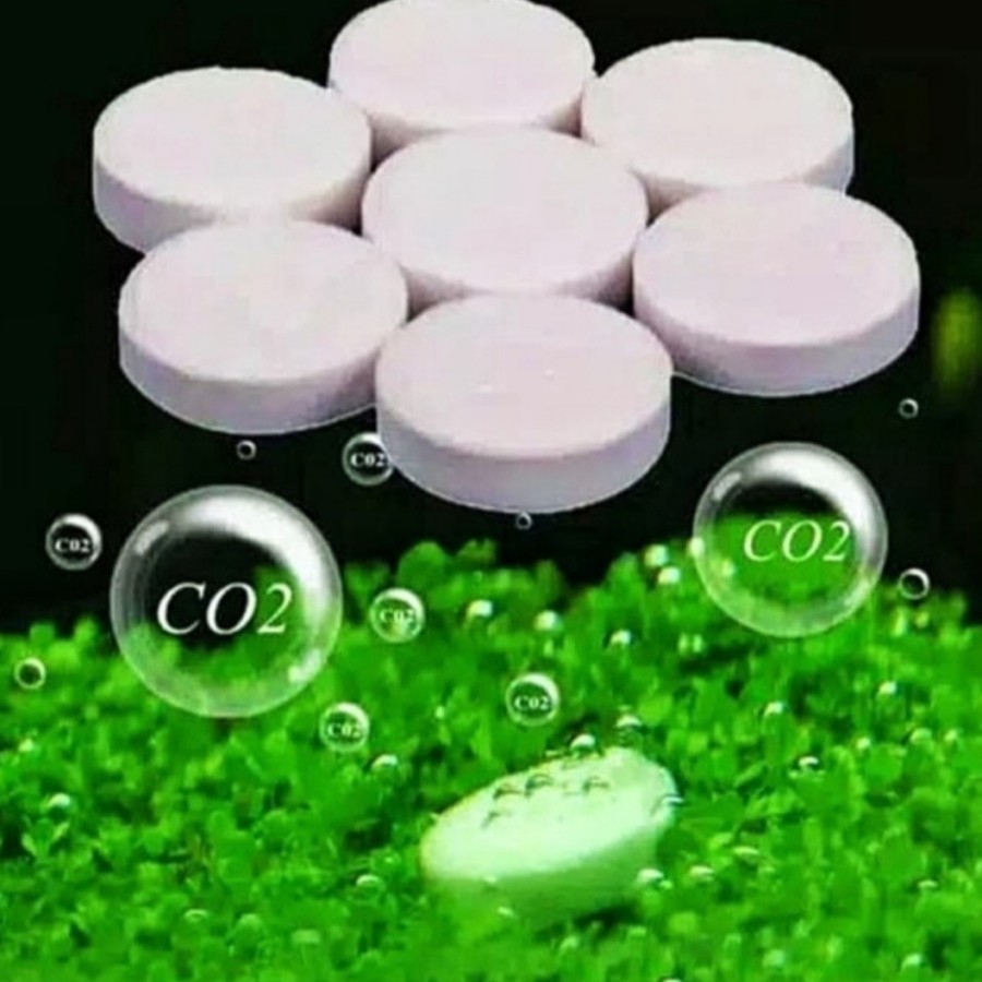 CO2 TABLET ECER 1 TABLET Pupuk Tanaman Air Aquascape Premium