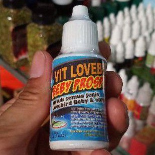 vit baby lovebird bmw