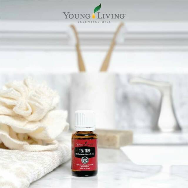 youngliving_makassar