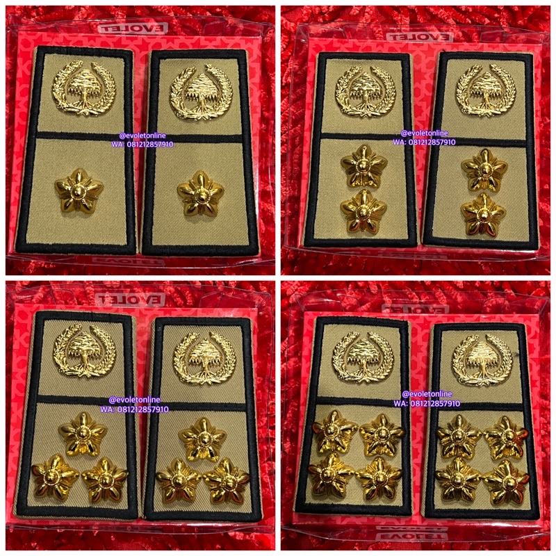 pangkat ASN PNS BENGKULU golongan 4A 4B 4C 4D evolet exclusive